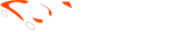 ibomotor.com